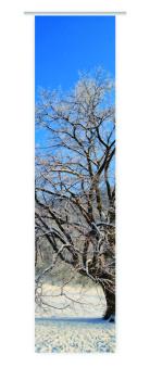 Wintergardine, Schiebevorhang mit Druck Wintermotiv, modern